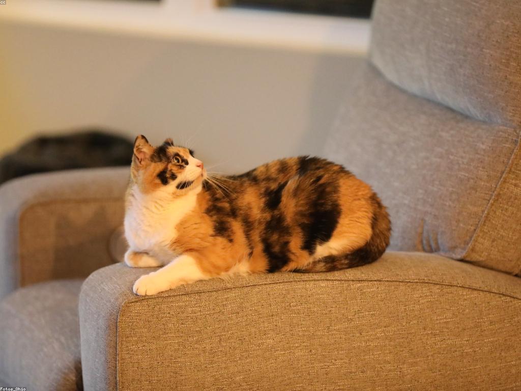 គំនិតហ្គេមច្នៃប្រឌិតសម្រាប់ការលេងជាមួយគ្រួសារ