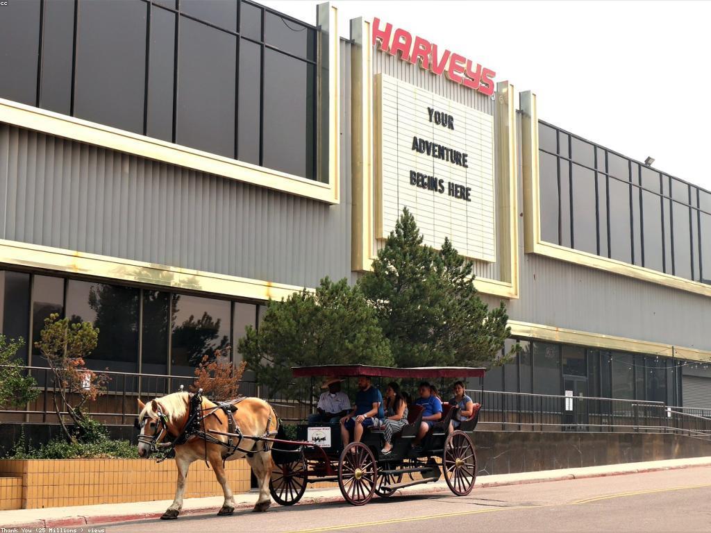 វិស័យកាស៊ីណូ៖ បទពិសោធន៍នៃការលេងហ្គេម និងឱកាស