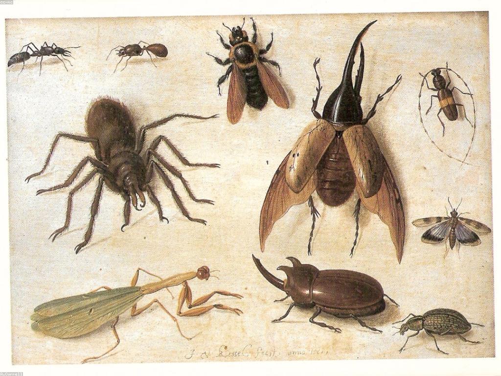 អត្ថប្រយោជន៍នៃការលេងកាស៊ីណូថ្មីៗ